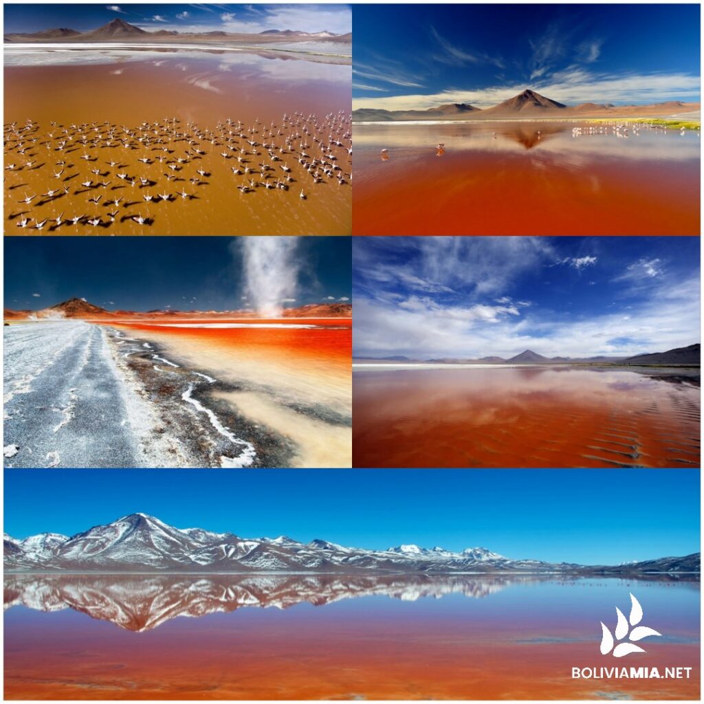 176033621_239964317911642_6232491551457215255_n