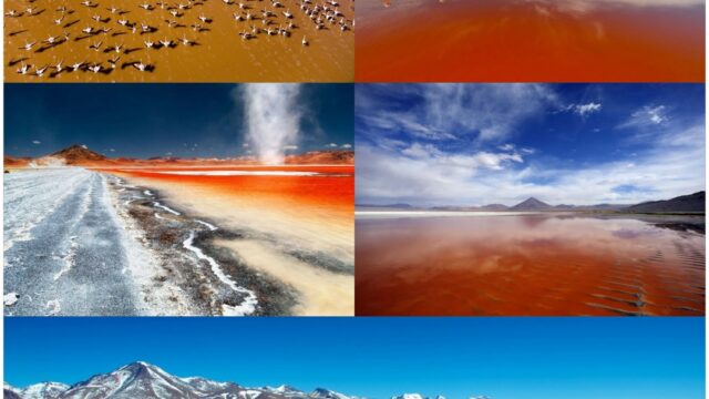 176033621_239964317911642_6232491551457215255_n