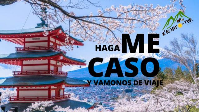 176886035_122129549908613_251352103841812005_n