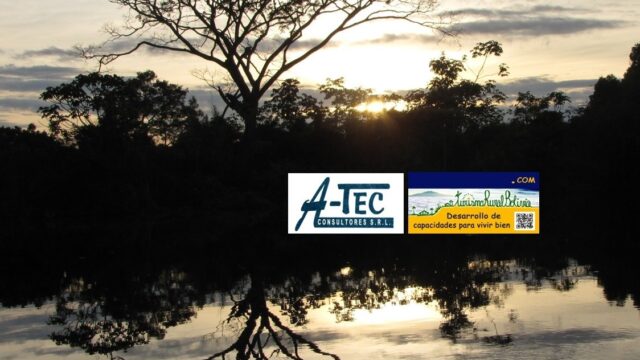 241976656_259725309226332_1787974545120085647_n