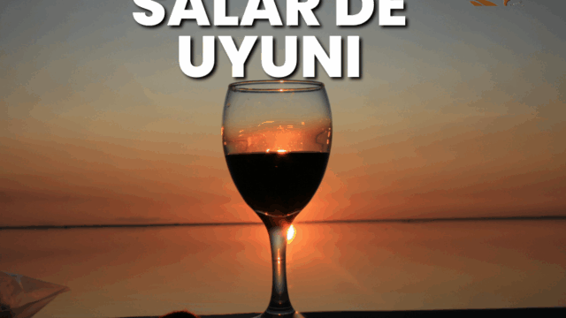 276319731_1816293508517565_1744369529449553261_n