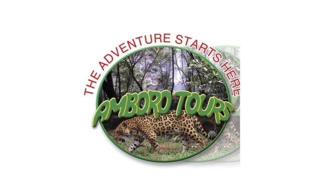 299480730_456193533228772_130020640220881203_n