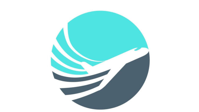 305116530_514169147375588_6410034374470930544_n