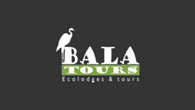 305815517_733919551359671_2832917592214919815_n