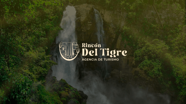 317949344_1593454994428975_1909599456071568594_n