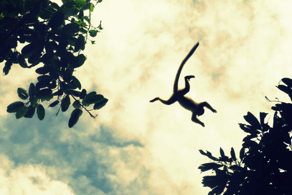 35374521_2196465567048325_3005712276603797504_n