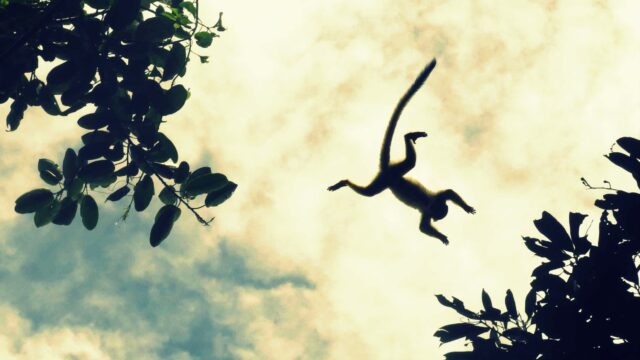 35374521_2196465567048325_3005712276603797504_n