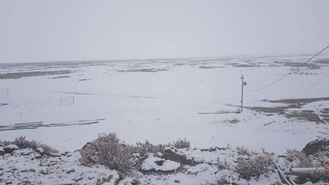 35376897_1754638694628558_4827280543324307456_n