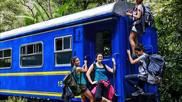 356822543_257033856948113_1739154107497227950_n