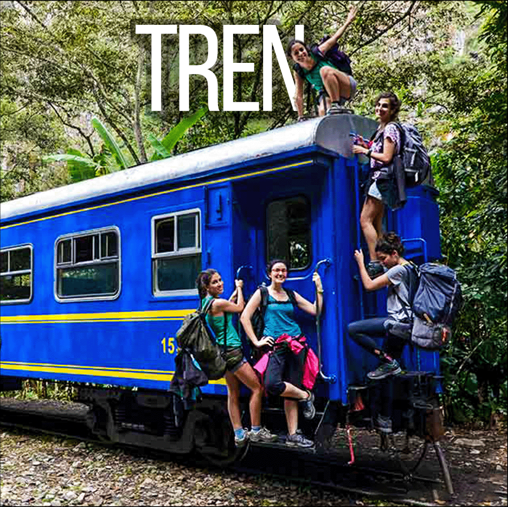 356822543_257033856948113_1739154107497227950_n