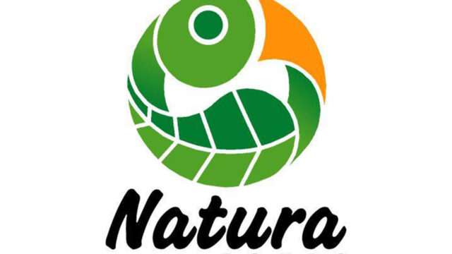 359777064_654346086731446_748566189730943208_n