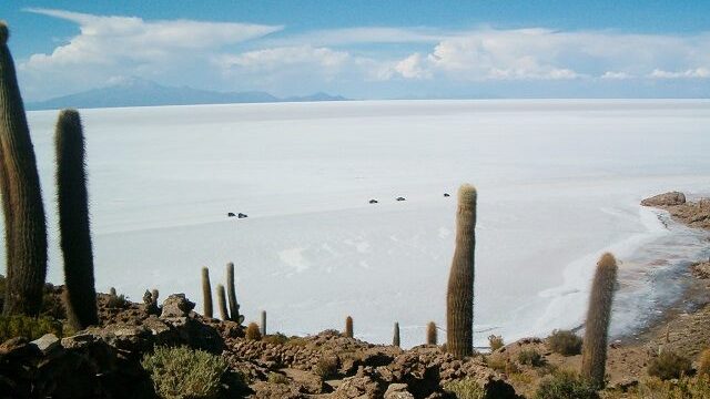 36434370_1453907764710992_5285143934186553344_n