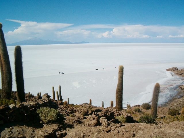 36434370_1453907764710992_5285143934186553344_n