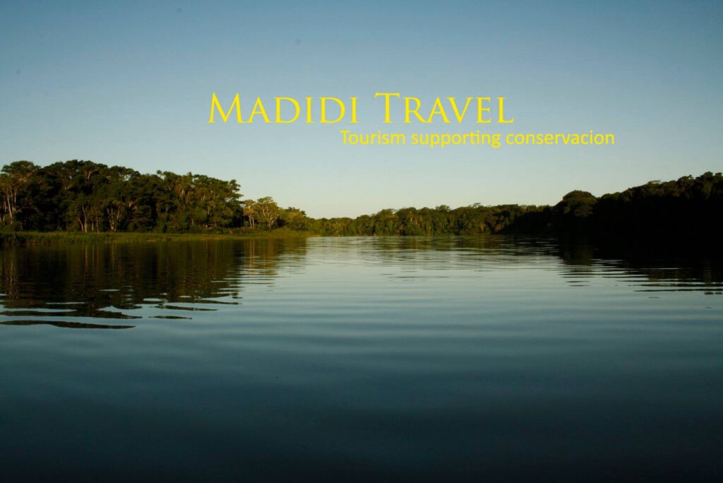 37106010_2246842705343944_5103764433029562368_n