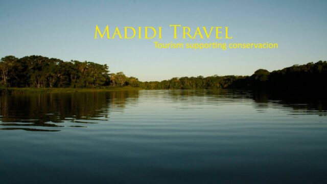 37106010_2246842705343944_5103764433029562368_n