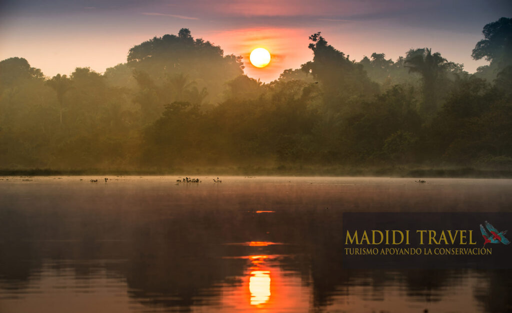 44054517_2407125702648976_2764184743468597248_n