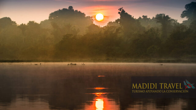 44054517_2407125702648976_2764184743468597248_n