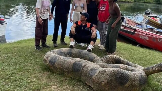 443697199_1205178037557132_5859164249911847536_n