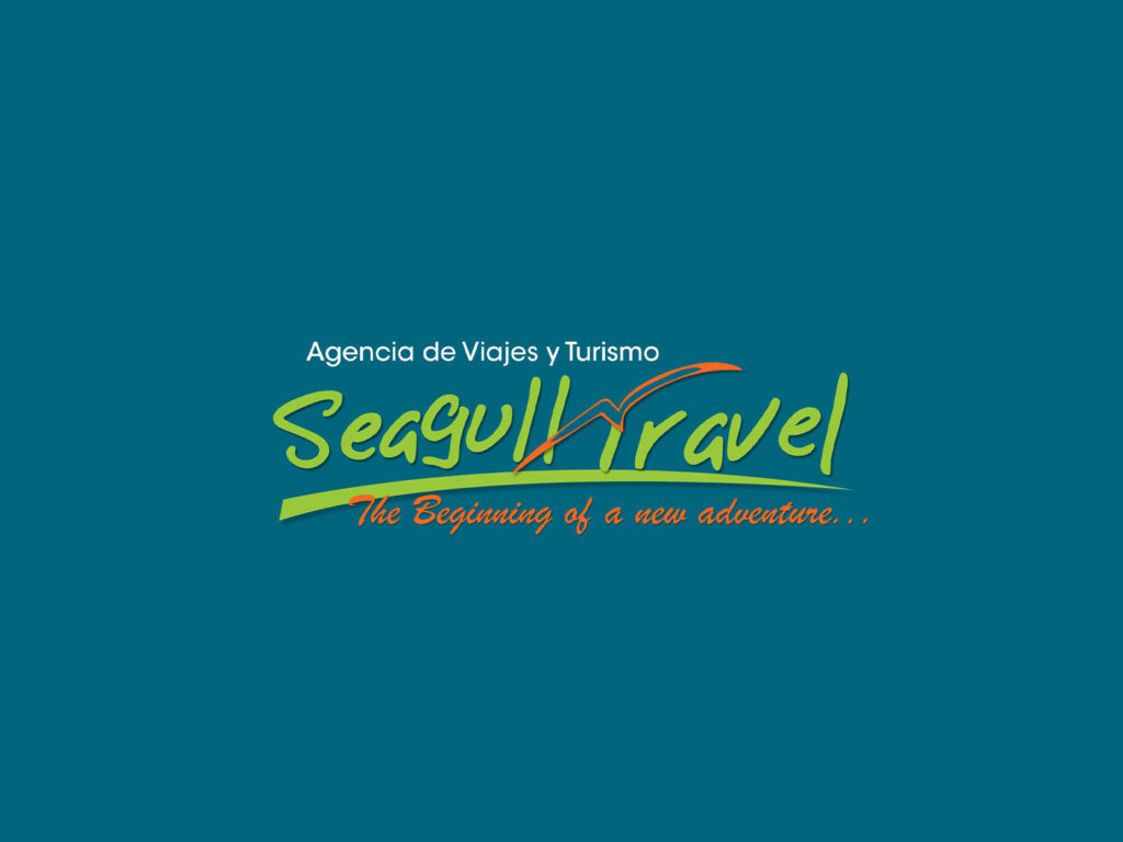 Seagull Travel