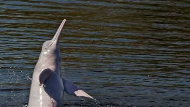 463457645_18424232839079208_6096639709884576625_n