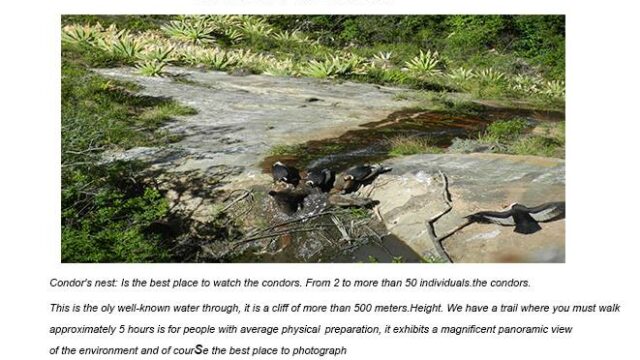 463659326_8614058708707270_3632223942392689296_n