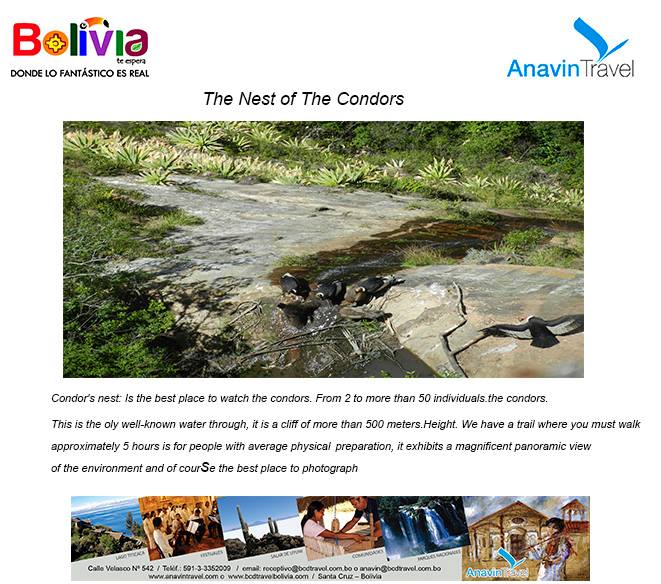 463659326_8614058708707270_3632223942392689296_n