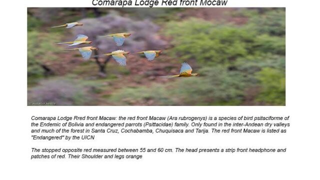 463740721_8614058458707295_7614739779928668001_n