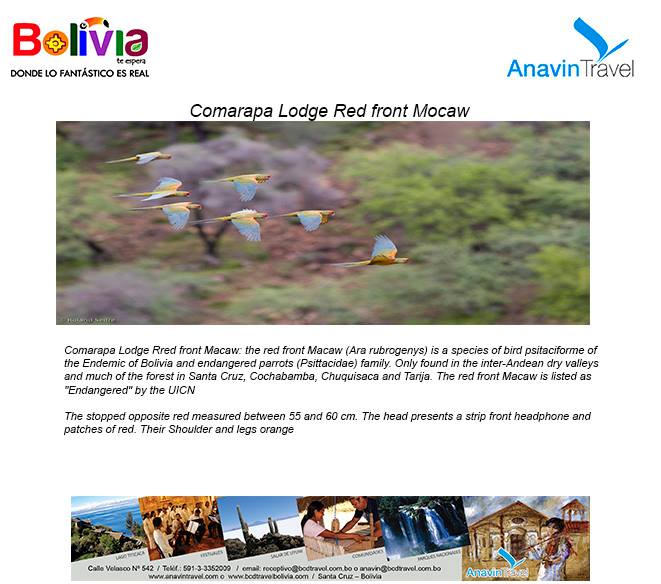 463740721_8614058458707295_7614739779928668001_n