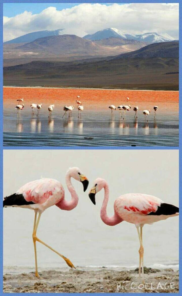 463889500_8485829824842711_6715709845198339514_n