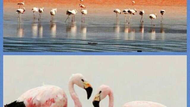 463889500_8485829824842711_6715709845198339514_n