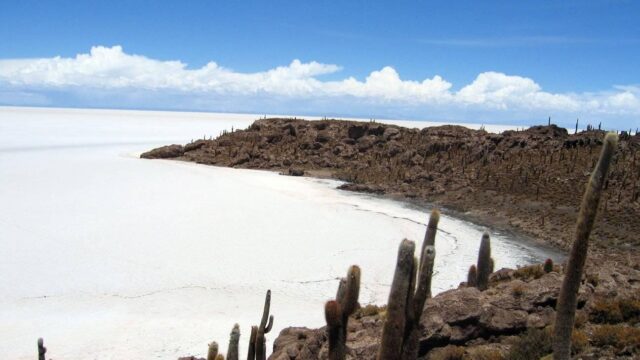 469058481_978272967465083_8484200199774874733_n