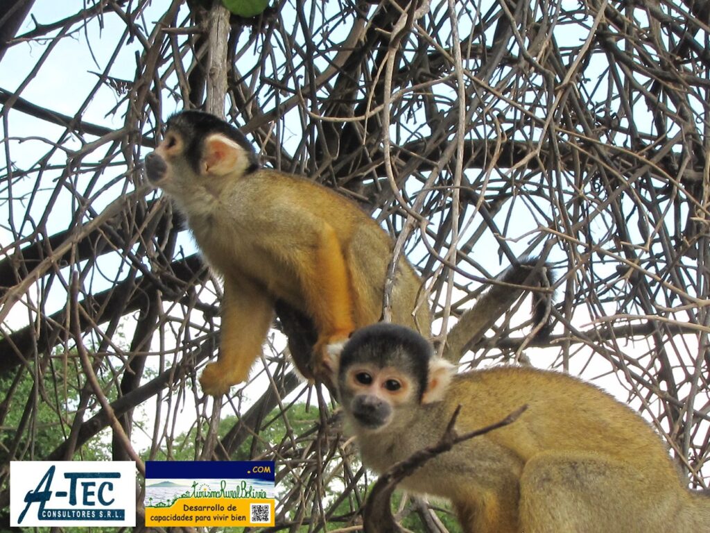 469161741_994846239047565_4969308674201553658_n