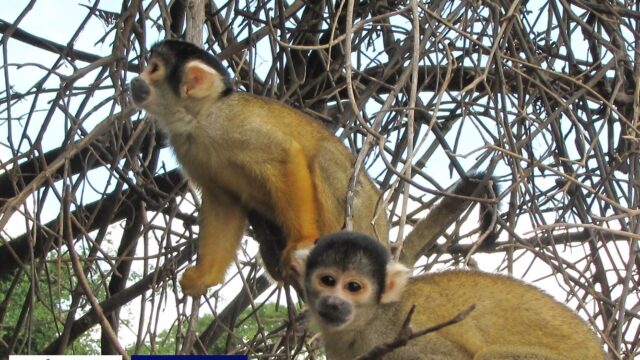 469161741_994846239047565_4969308674201553658_n