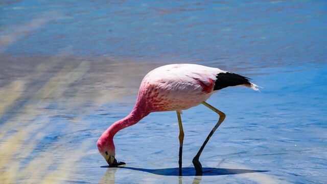 469646829_931384072260659_1423326902260577248_n - copia