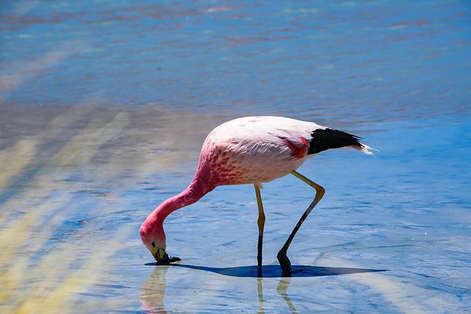 469646829_931384072260659_1423326902260577248_n - copia