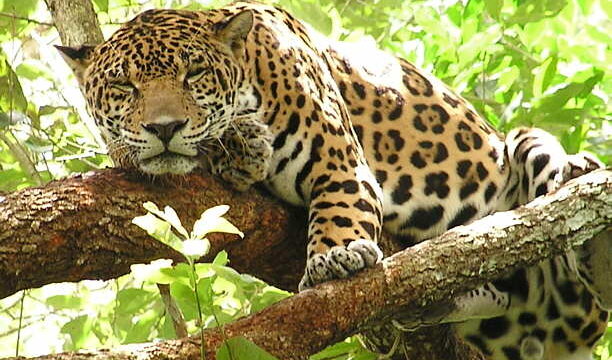 470191267_1102600494889898_3970121988123686789_n