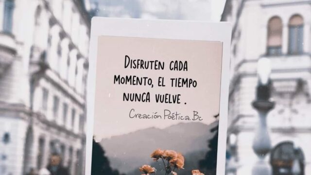 470210402_1971360613367490_7385694861206620220_n