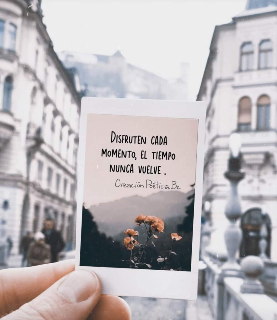 470210402_1971360613367490_7385694861206620220_n