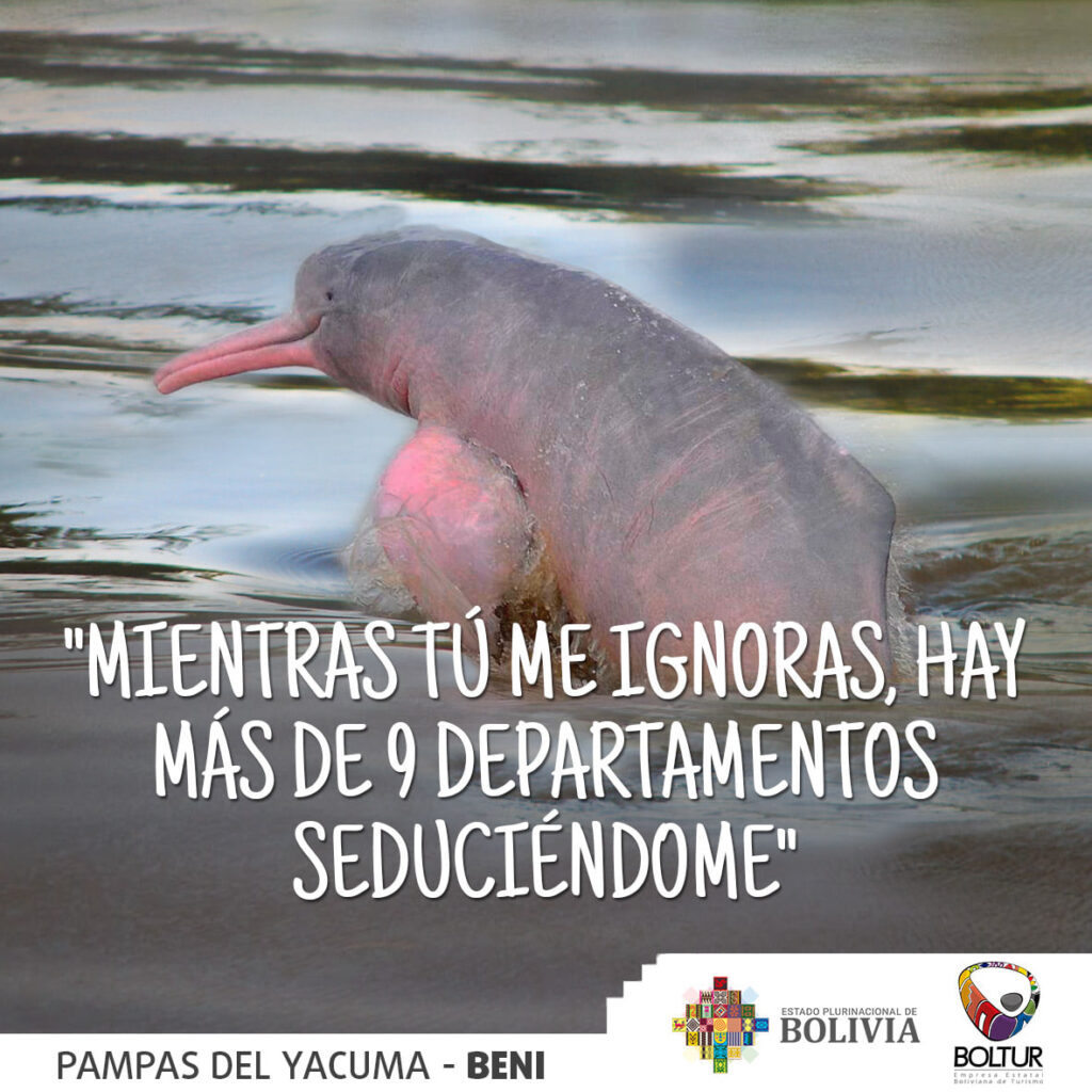 470217921_3873782506222919_8982518742372382473_n