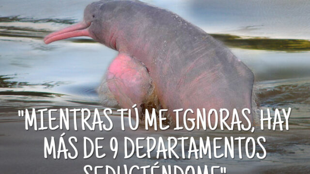 470217921_3873782506222919_8982518742372382473_n