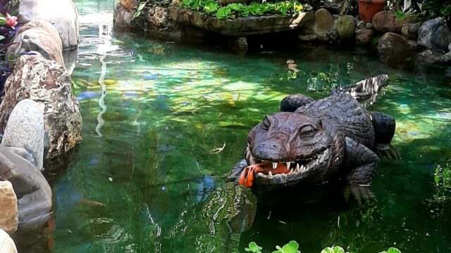 470566064_1732563360858341_4007970054607664345_n