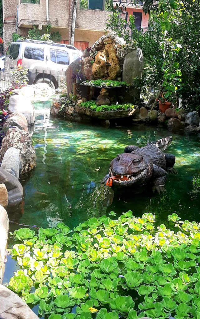 470566064_1732563360858341_4007970054607664345_n