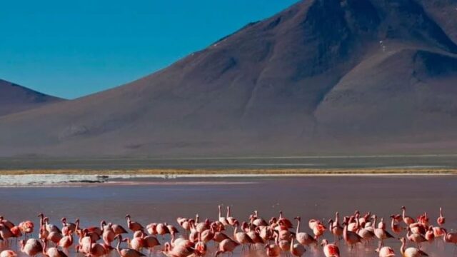 471258009_1188497519730366_1783340138774680758_n