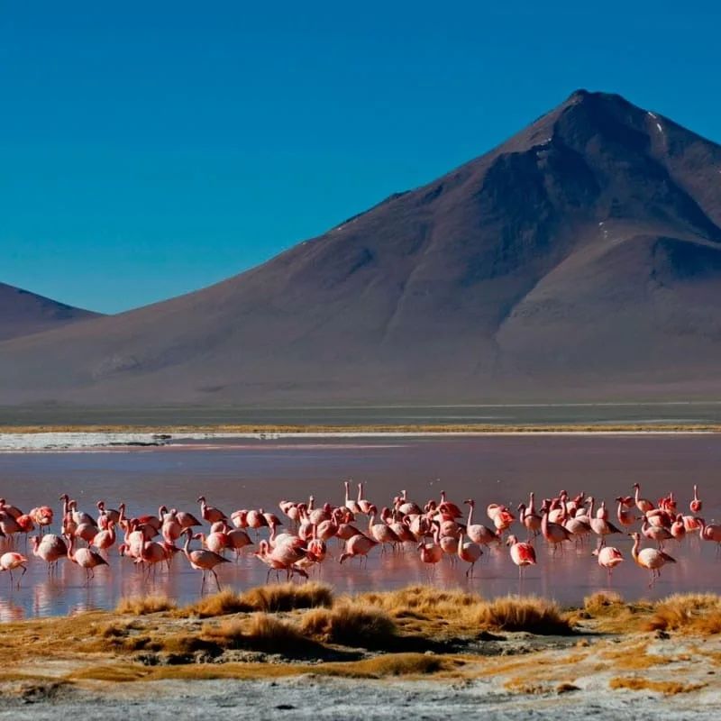 471258009_1188497519730366_1783340138774680758_n