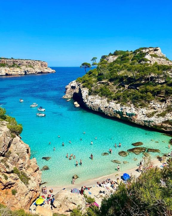 472539899_1168735011482900_4909490942408525690_n