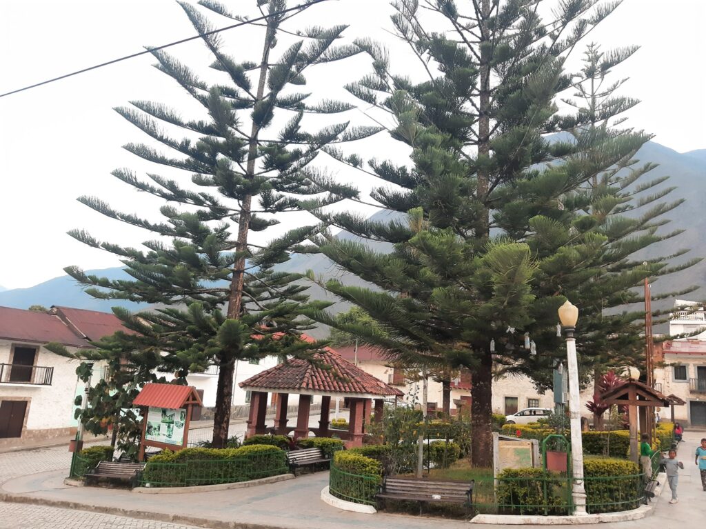 472808615_583425761139417_4373762024164740887_n