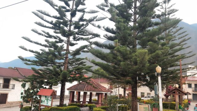 472808615_583425761139417_4373762024164740887_n