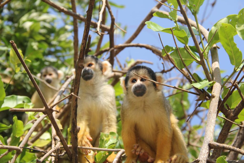 473123053_122133903140481295_794132881338466994_n