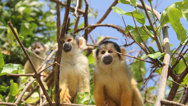 473123053_122133903140481295_794132881338466994_n