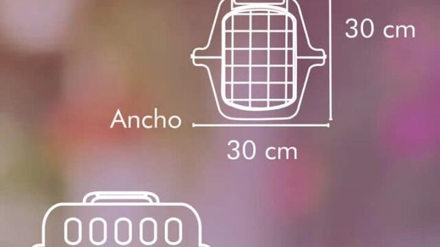 473623210_4895663163992129_8634248426712501822_n